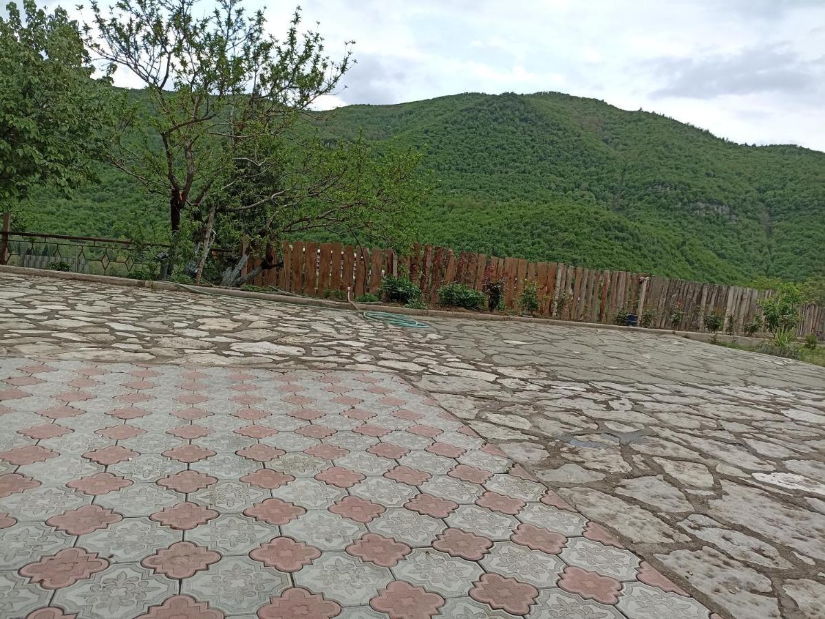 Green Garden Կանաչ Այգի Idzsevan Kültér fotó