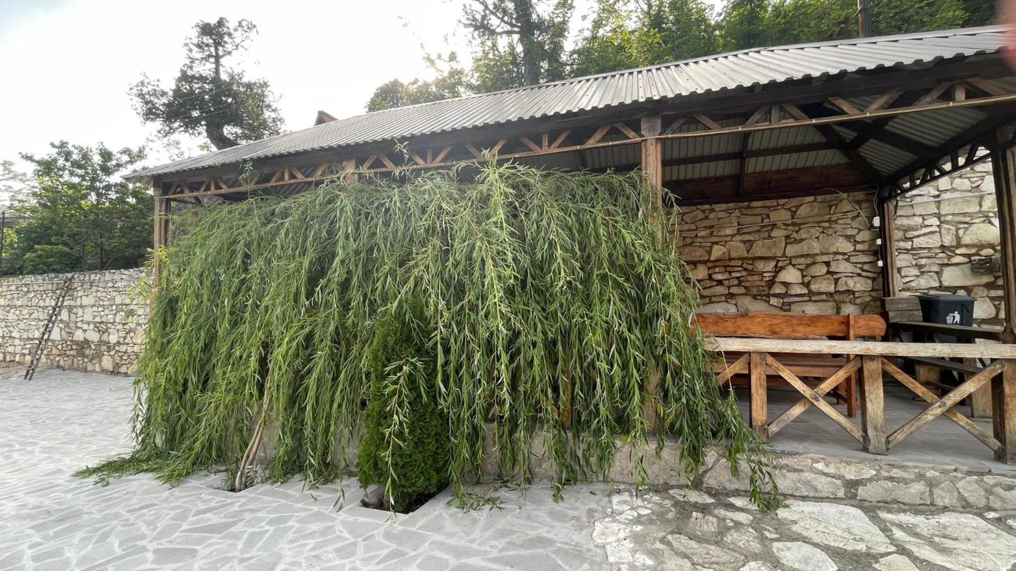 Green Garden Կանաչ Այգի Idzsevan Kültér fotó