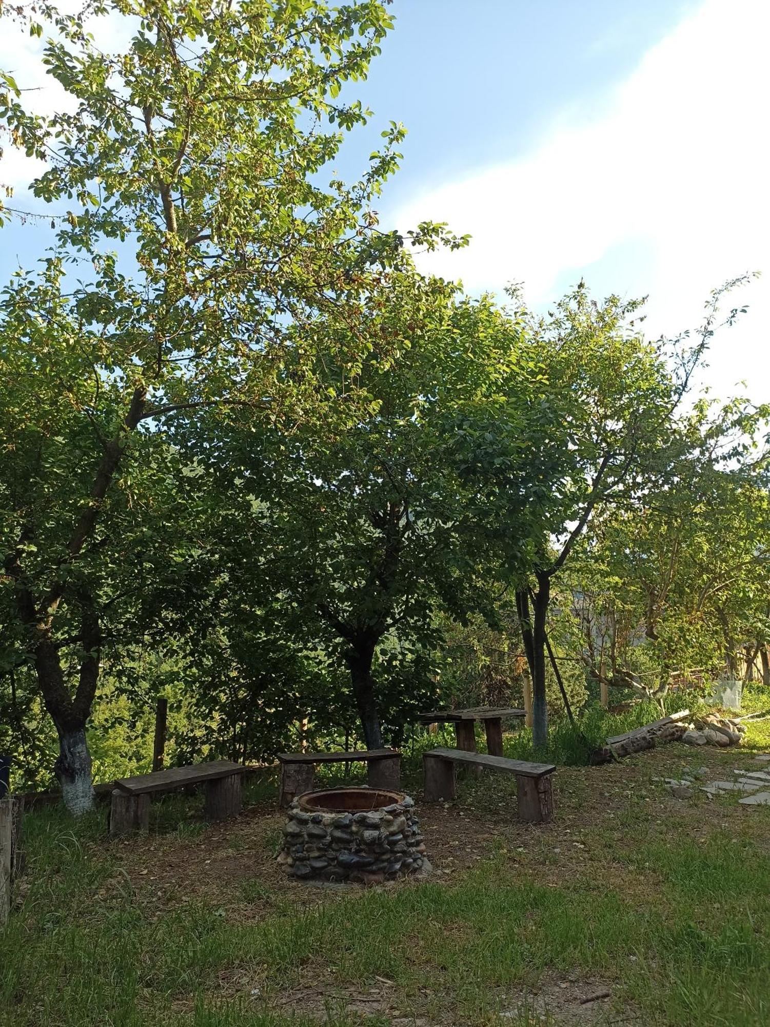 Green Garden Կանաչ Այգի Idzsevan Kültér fotó