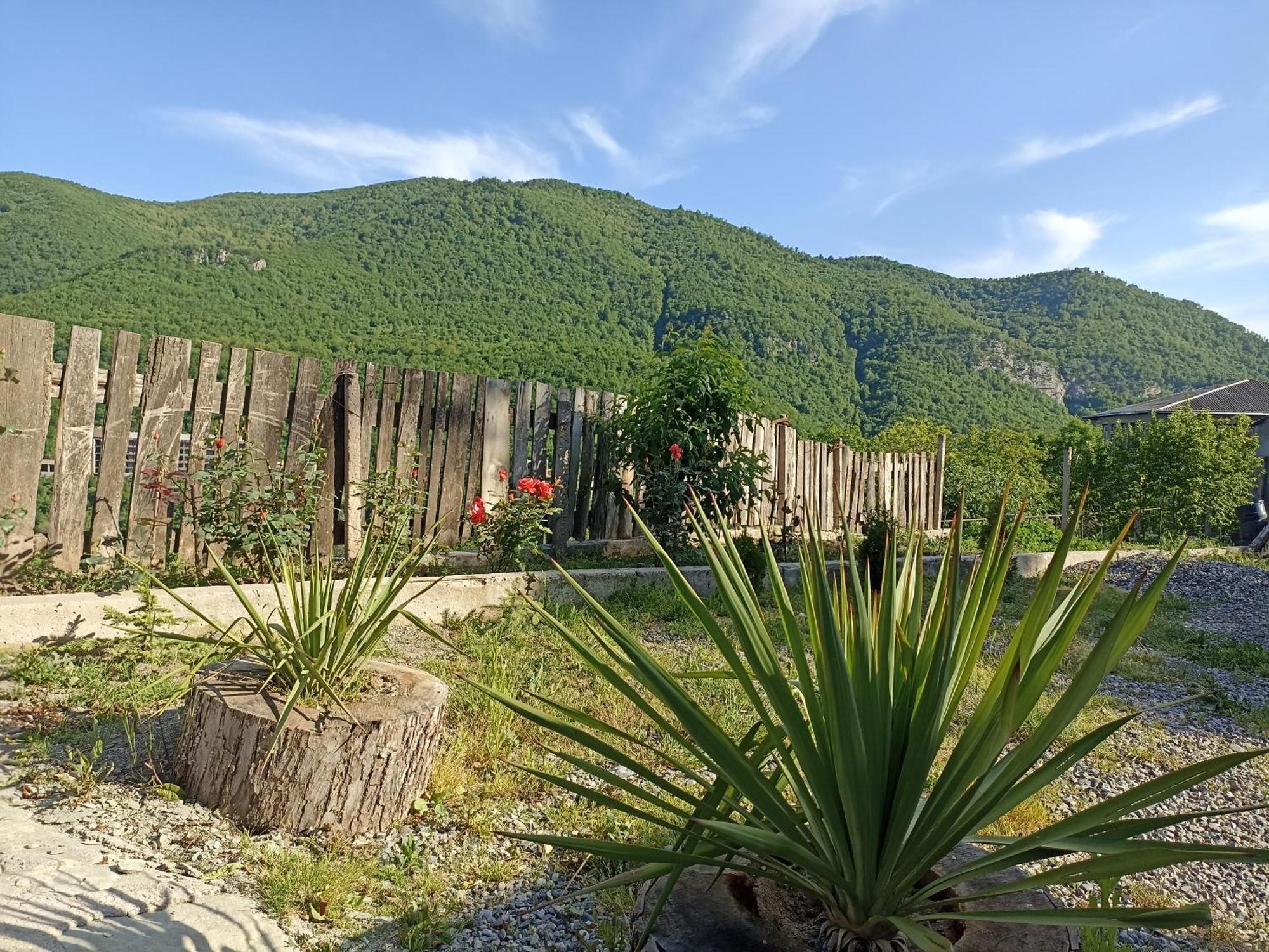 Green Garden Կանաչ Այգի Idzsevan Kültér fotó