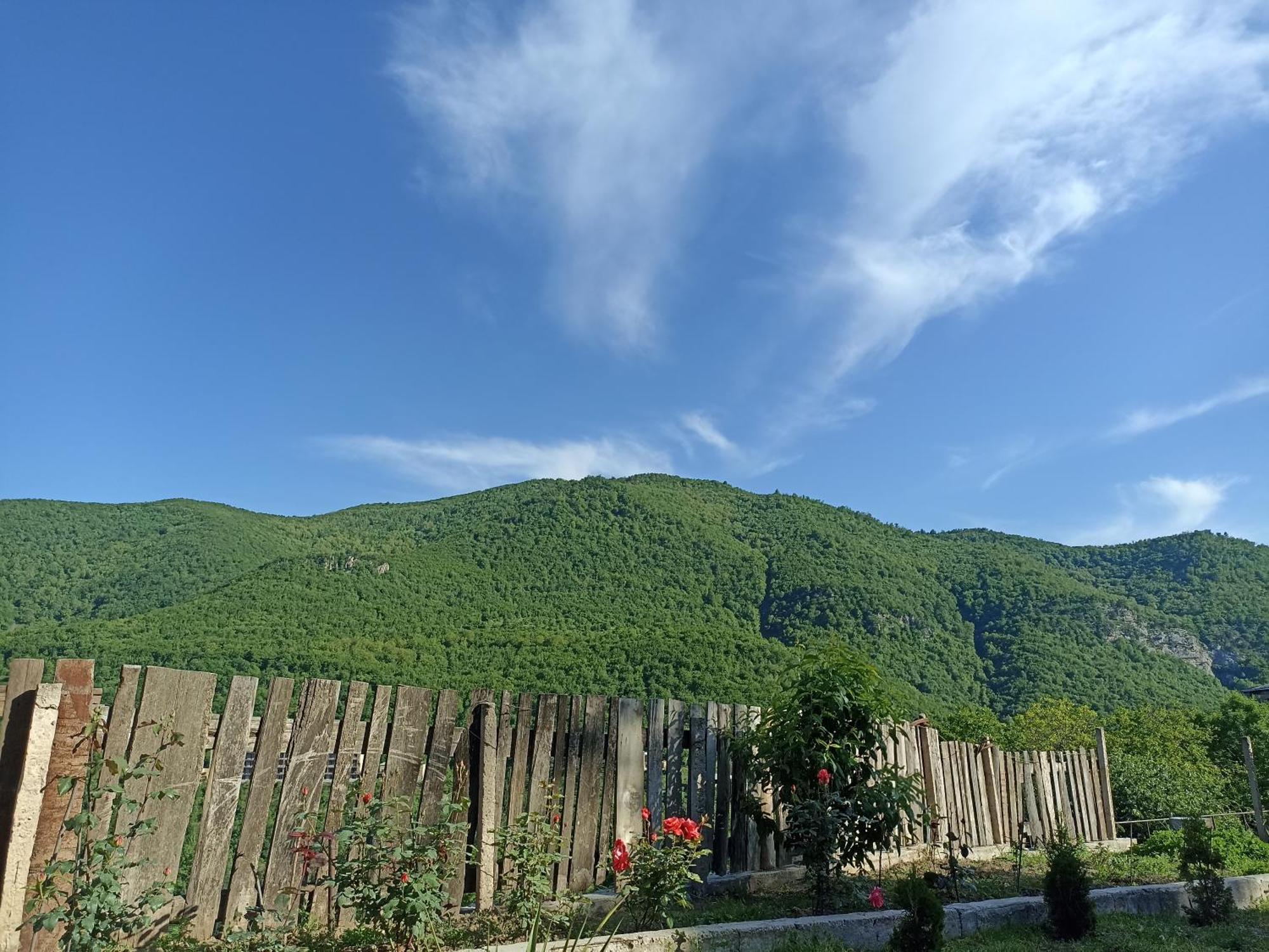 Green Garden Կանաչ Այգի Idzsevan Kültér fotó