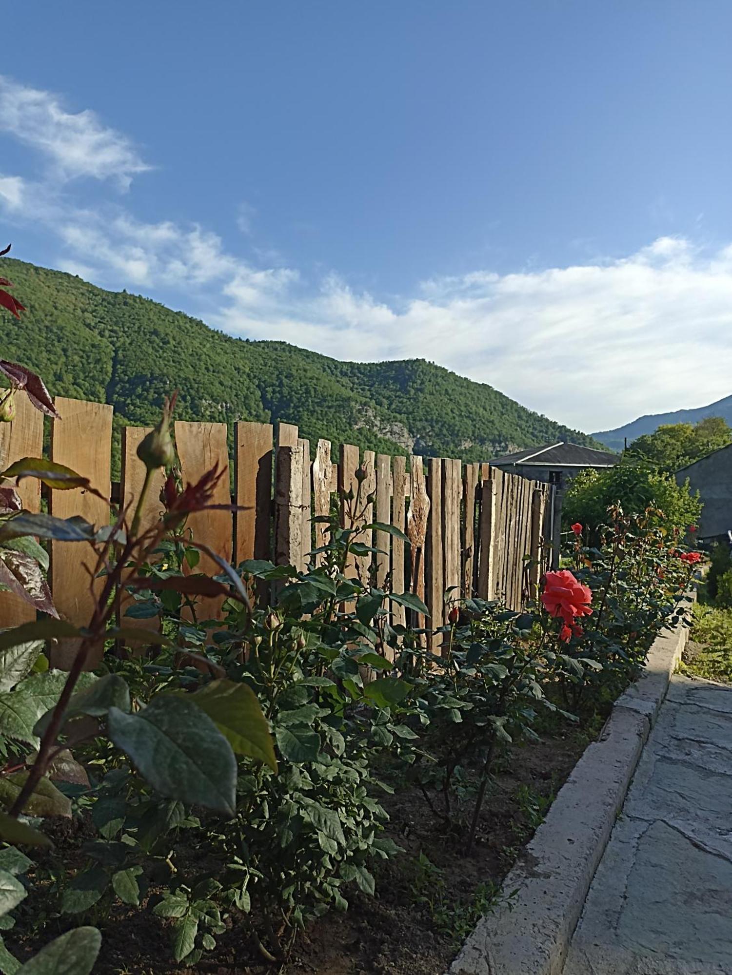 Green Garden Կանաչ Այգի Idzsevan Kültér fotó